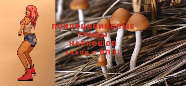 спиды Михайловск