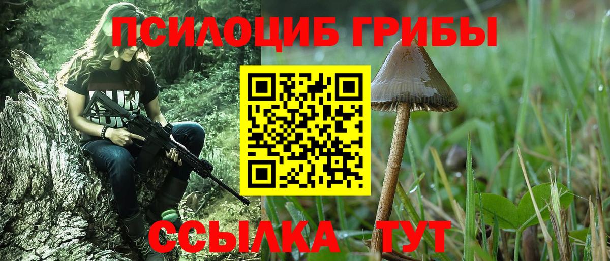 Галлюциногенные грибы Psilocybe Белгород