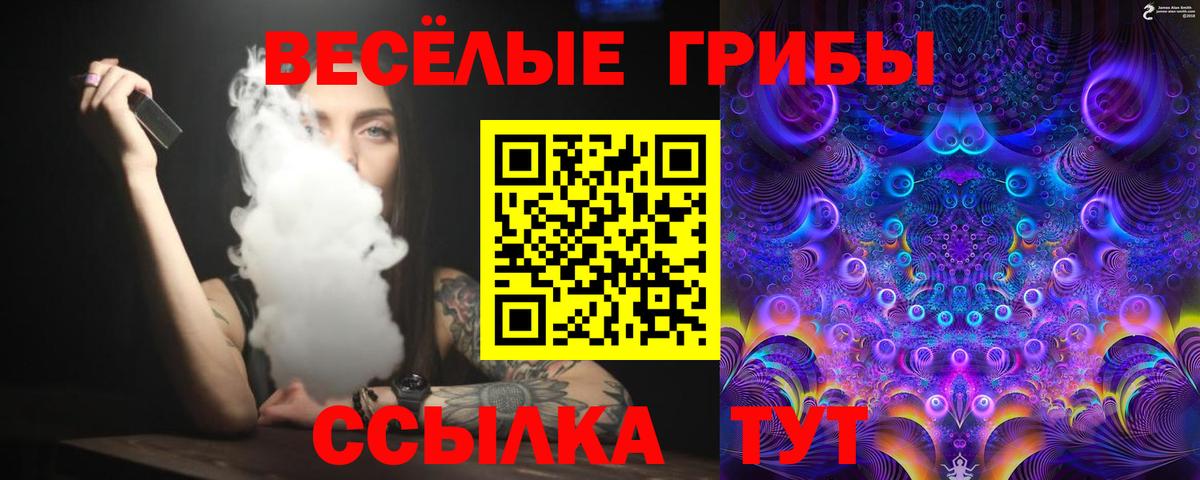 Белгород  цена   Галлюциногенные грибы MAGIC MUSHROOMS  Вход с VPN  Галлюциногенные грибы мицелий 